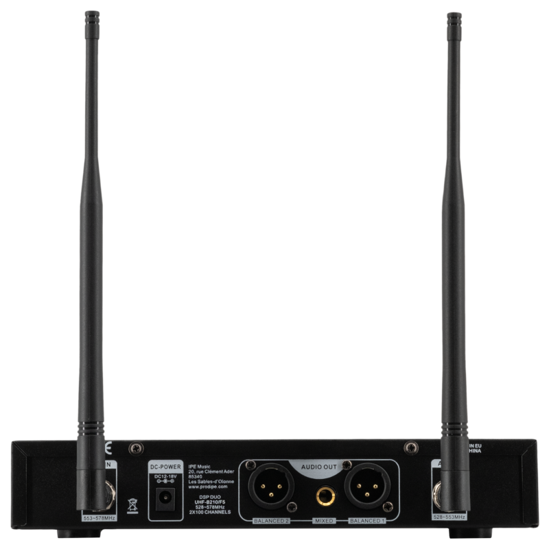 PACK UHF DSP GB210 DUO LANEN