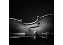 Violoncelle