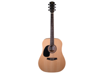 Guitares acoustiques gaucher